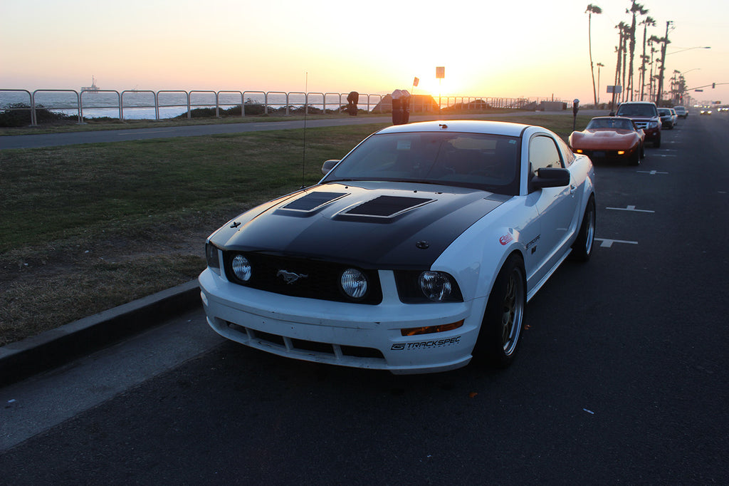 Mustang GT500 Hood Louvers Kit