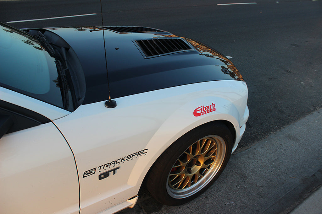 Mustang GT500 Hood Louvers Kit