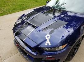 Mustang GT350 GT4 Full Louver Kit