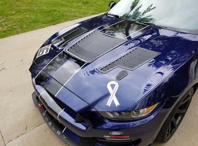 Mustang GT350 (2016+) GT4 Center Louver Kit