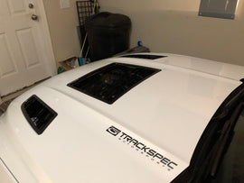 Mustang (15-17) S550 GT4 Full Louver Kit