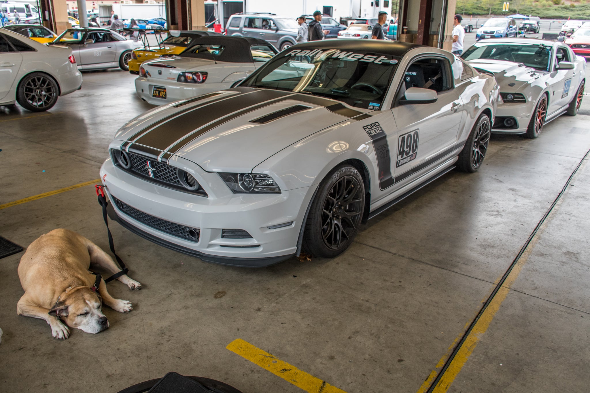 Mustang (13-14) S197 GT4 Race Louver Kit